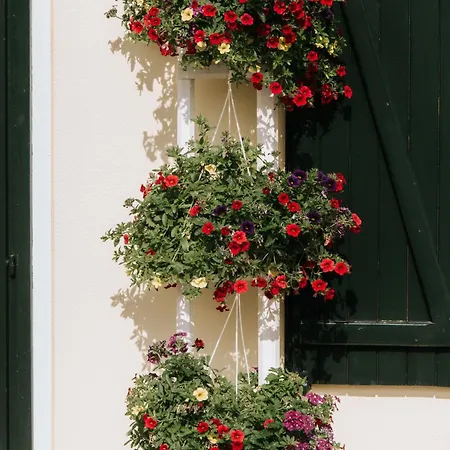 Casa Joop Dolce Far Niente Bed & Breakfast *