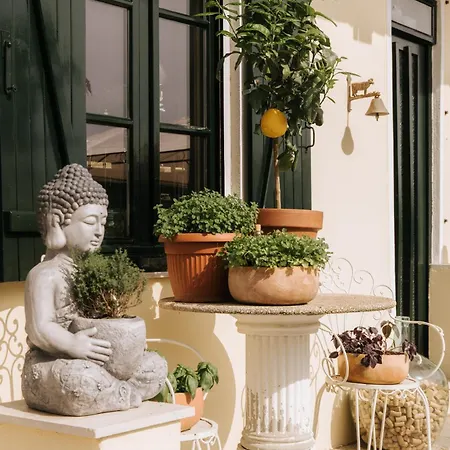 Casa Joop Dolce Far Niente Oda ve Kahvaltı