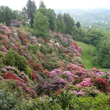 Casa Joop Dolce Far Niente Oda ve Kahvaltı