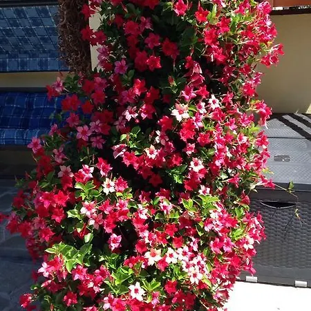 Casa Joop Dolce Far Niente B&B